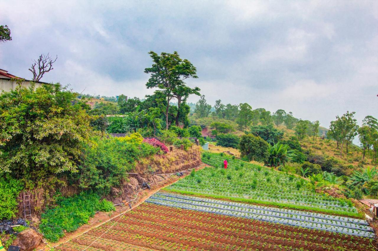Mountain Breeze Resort, Hotel